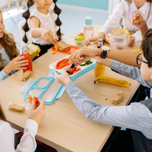 Healthy Air Fryer Snacks for Kids